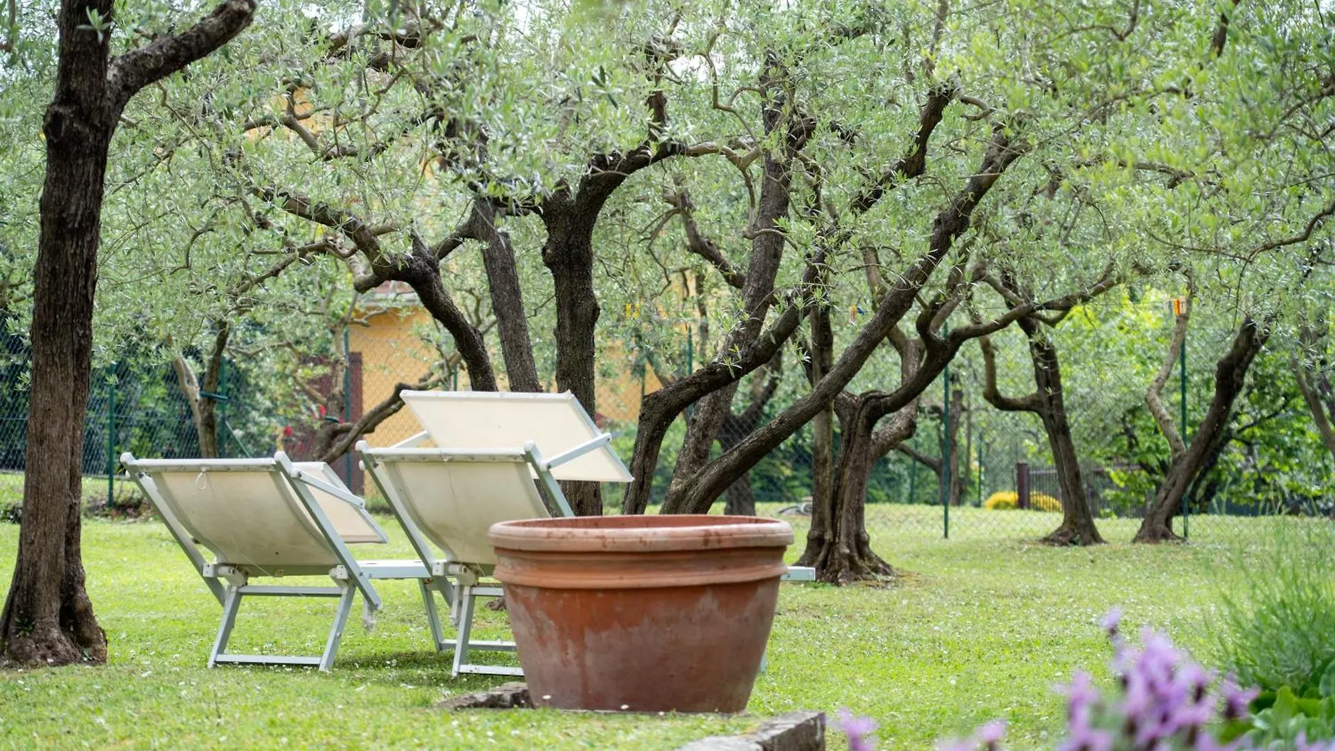 Ferienwohnung La Teodolinda Arezzo Italien